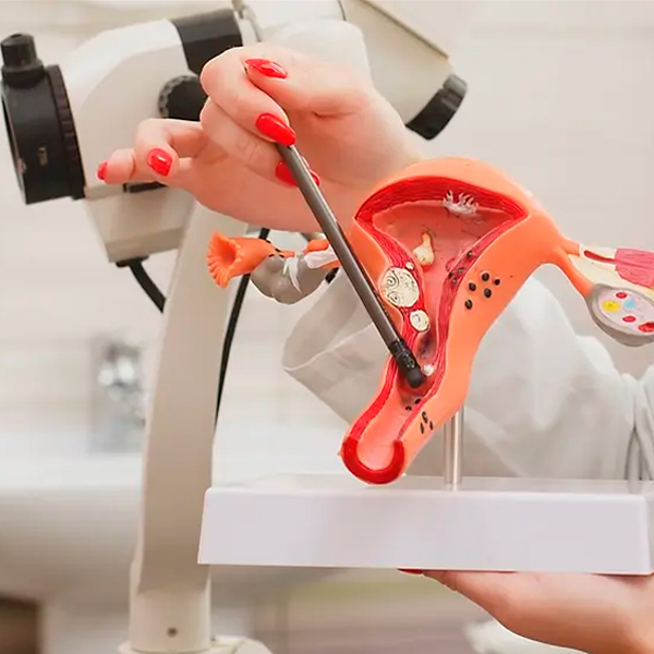 Colposcopio VitalScope